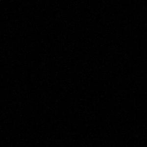 Meet your Posher, Tyra